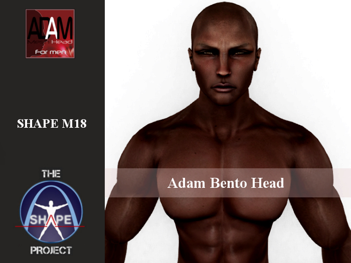 [TSP] ABSOLUT CREATION (Adam bento) Shape M18