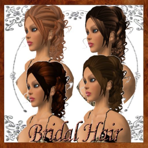 Bridal Hair Browns