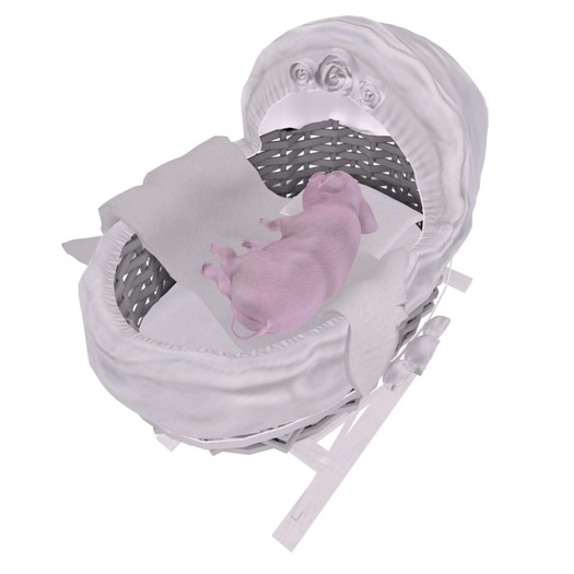 Second Life Marketplace - Spring Piggies - Crib (boxed) SOI
