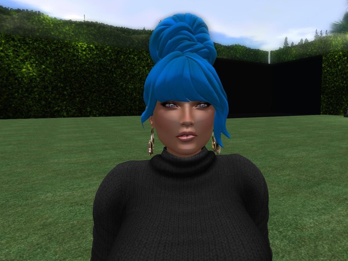 .:. MS .:. Raver Bun Hair [UNPACKER]