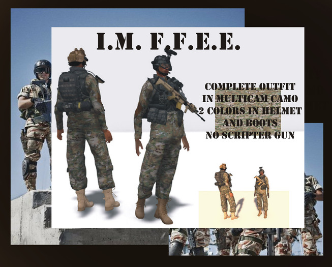 IM Regular Multicam
