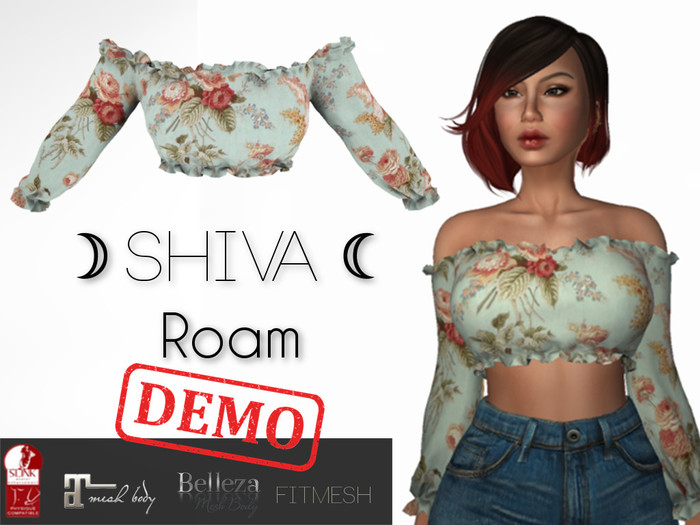 :SHIVA: Roam - DEMO
