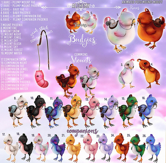 Alchemy - Budgie  - Companion - Forest [box]