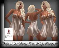 BLACK FRIDAY Birgit Mai's Spring Dress Nadja Champagne (BOXED)