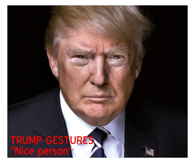 Trump - Nice Person