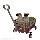 JIAN Love Pugs 3. Pug Wagon BOX RARE [Gacha]