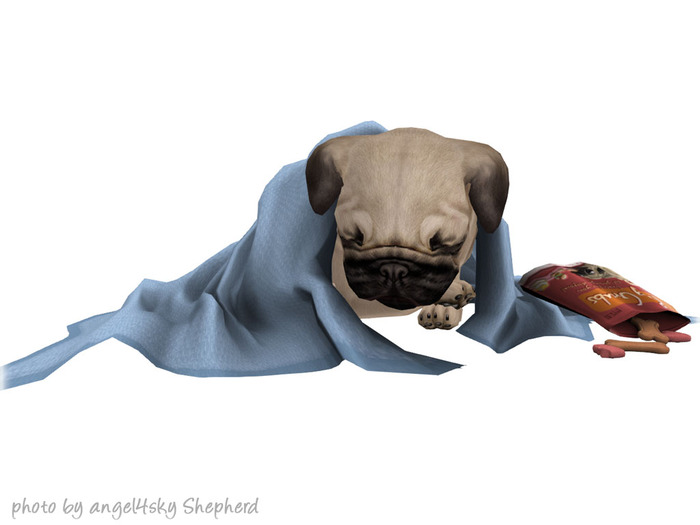 JIAN Love Pugs 2. Sleepy Treater BOX RARE [Gacha]