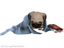 JIAN Love Pugs 2. Sleepy Treater BOX RARE [Gacha]