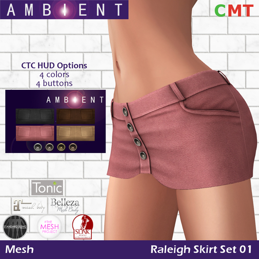 [AMBI] Mesh Raleigh Skirt Set 01 (BOXED)
