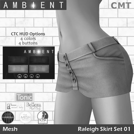 [AMBI] DEMO Mesh Raleigh Skirt Set (BOXED)