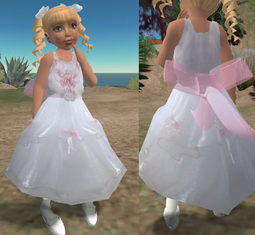 DD - Little Tyke Flower Girl Dress - White Organza w/pink Bow