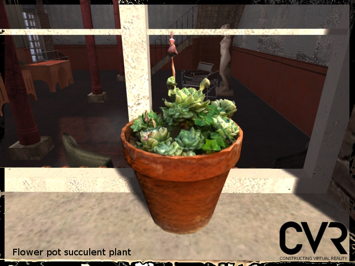 Flower pot succulent plants