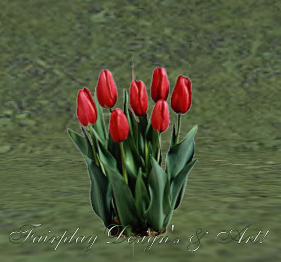 Red Tulips - Garden *Can Copy*