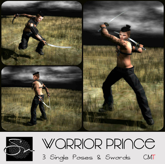 **SN~ Warrior Prince