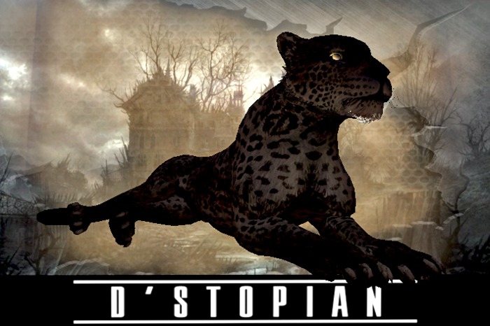 D'STOPIAN // Black Leopard