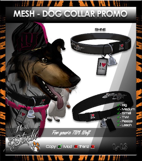 .:CT:. Mesh-DoG-Collar-Promo-Boxed:.