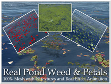 LOVE - REAL POND WEED & PETALS - 100% MESH