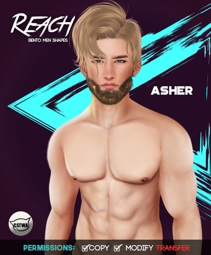 Reach - Asher Male Shape