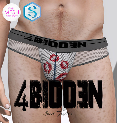 .::4BIDDEN::. White Mesh Kiss Breifs