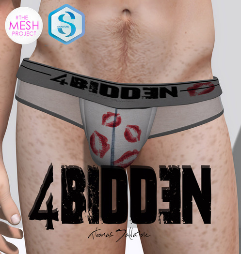 .::4BIDDEN::. Gray Mesh Kiss Breifs