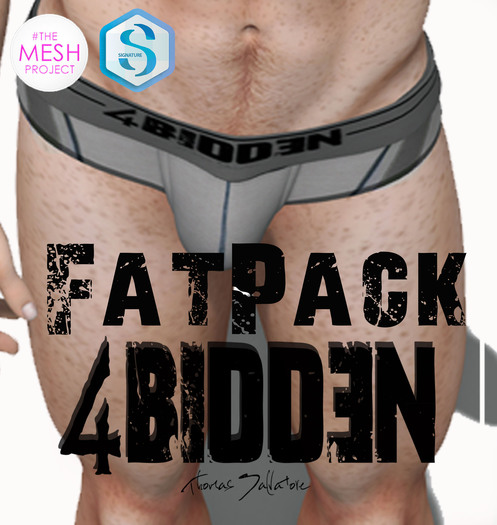 .::4BIDDEN::. Gray & FATPACK Breifs