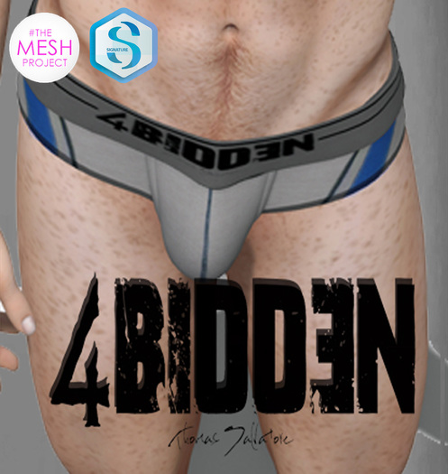 .::4BIDDEN::. Gray & Blue Breif