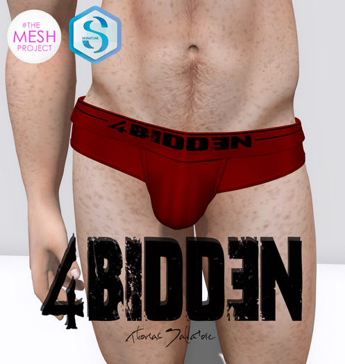 .::4BIDDEN::. Red Leather Breifs