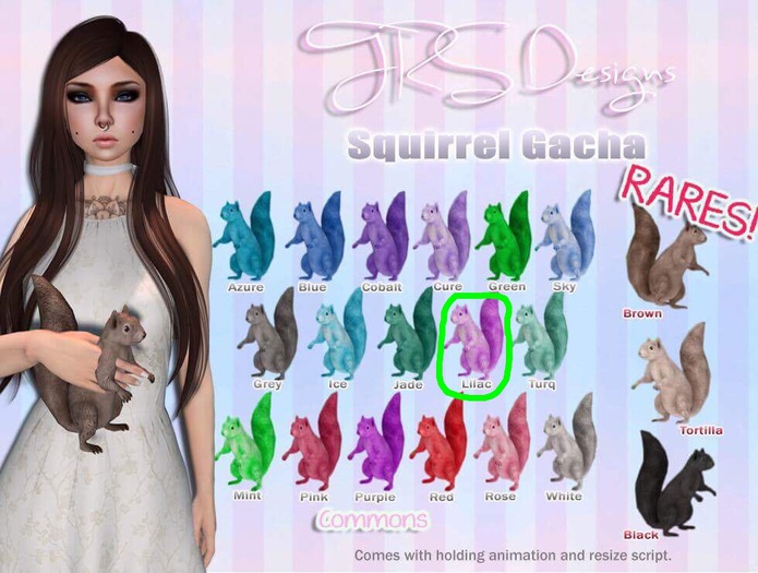 Squirrel Common Lilac