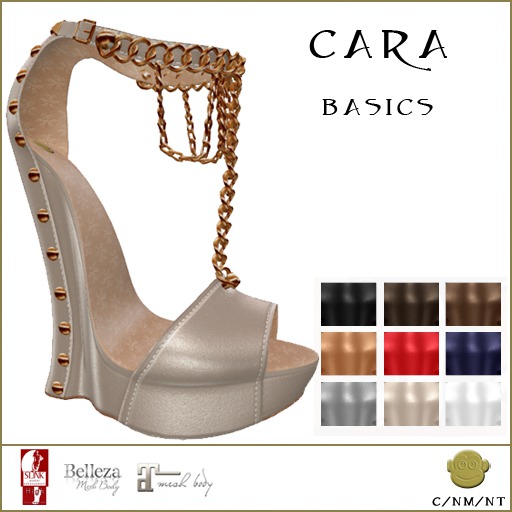 BM Cara Basics DEMO