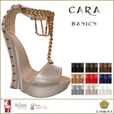 BM Cara Basics