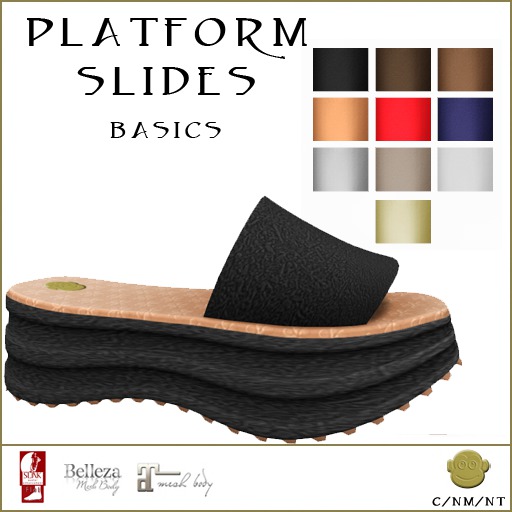 BM Platform Slides Basics