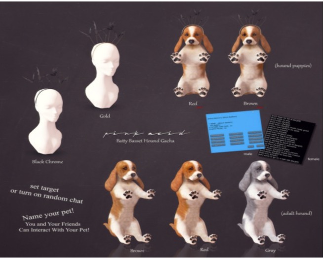 *Pink Acid Older Basset Hound Gray Male*