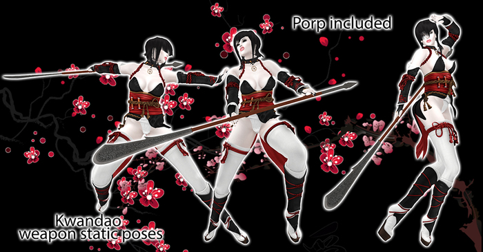 Kwandao static weapon poses