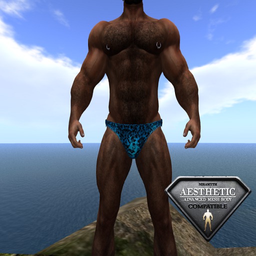 Cobalt Men - Dark Blue Speedos