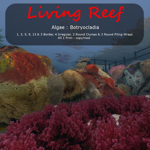 Inochi Reef : Algae ""