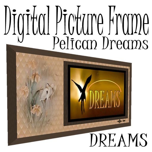 Digital Picture Frame - Pelican Dreams 