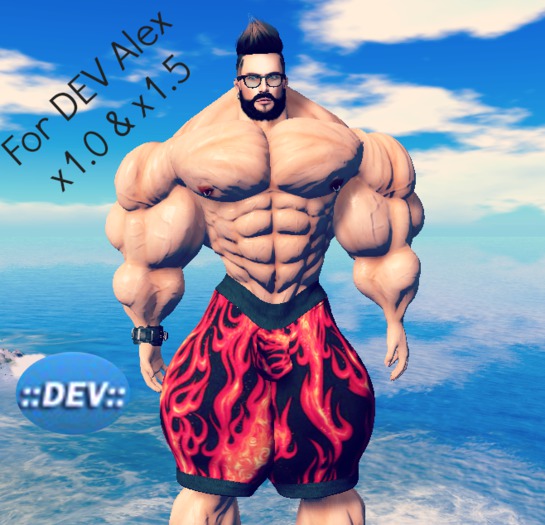 [D.Cavalieri] - Alex Flames Bermuda