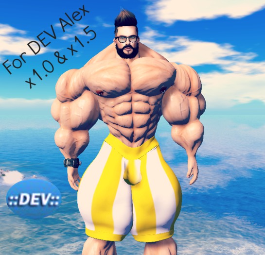 [D.Cavalieri] - Alex Yellow Stripes Bermuda