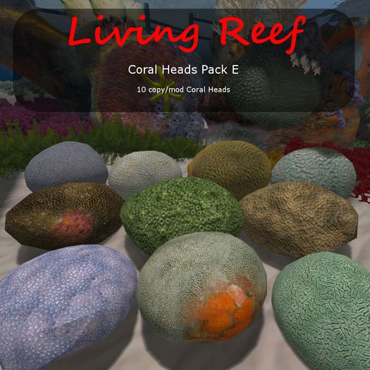 Inochi Reef : Coral Heads Pack