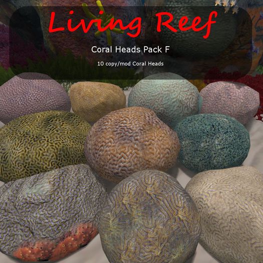 Inochi Reef : Coral Heads Pack