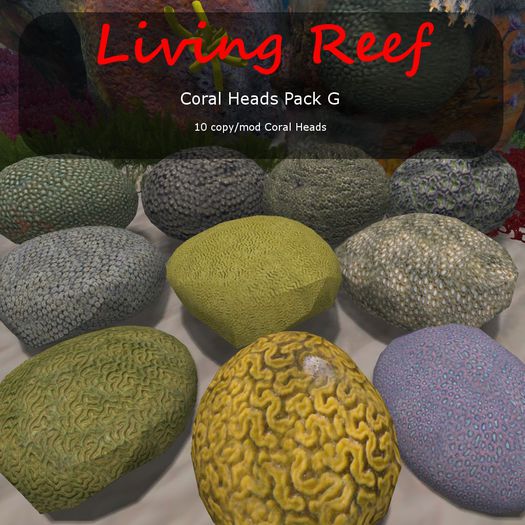 Inochi Reef : Coral Heads Pack
