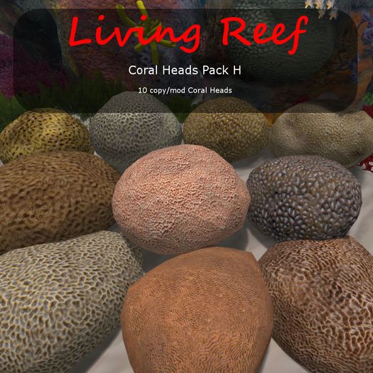 Inochi Reef : Coral Heads Pack H
