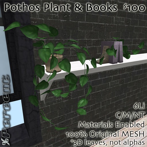 %Pothos Plant & Books *MESH* Delivery Box
