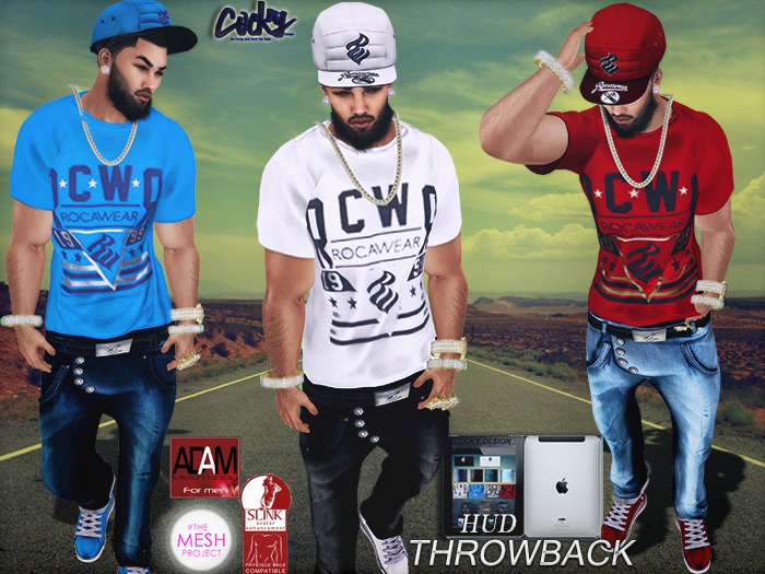 {RC} Throwback Slim Hud