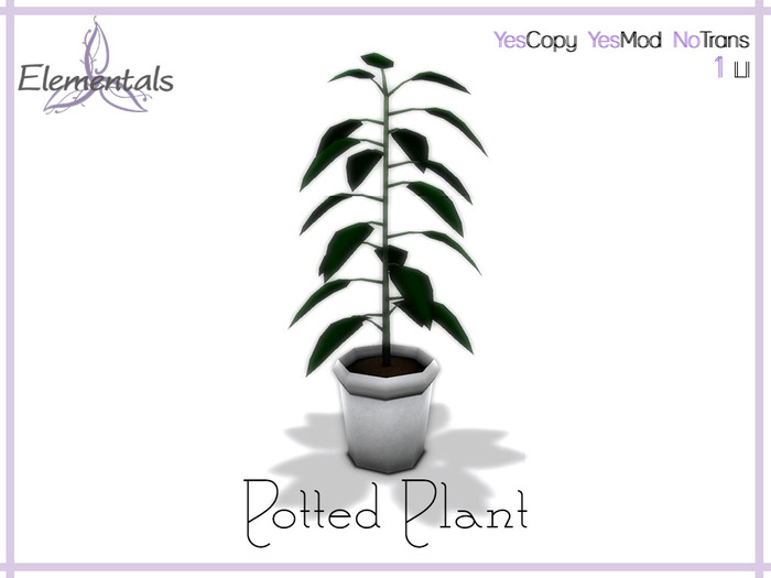 {Elementals} Potted Plant {Boxed}