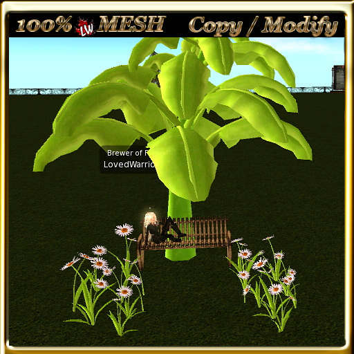 Banana Tree and Daisies 2