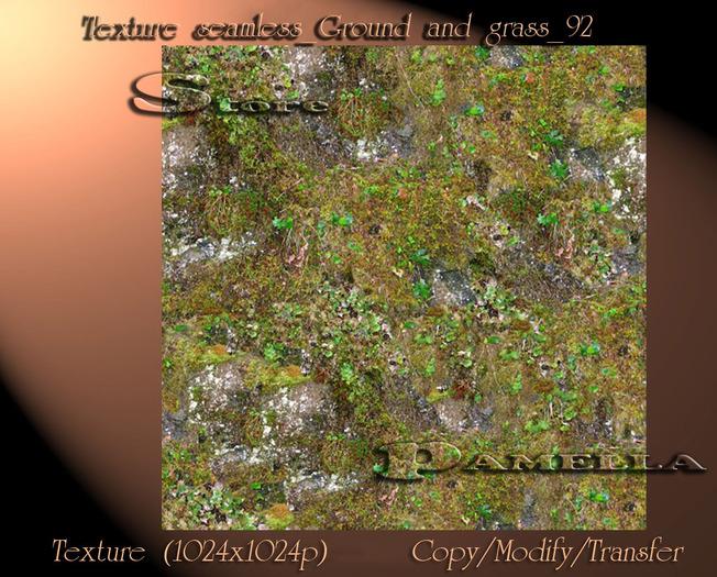 Texture seamless_Ground and grass_92