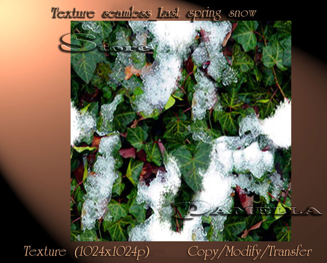 Texture seamless_Last spring snow