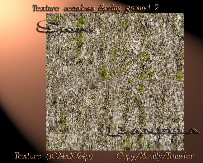 Texture seamless_Spring ground_2