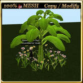 LW_ Mesh Banana Tree and Dasies 1